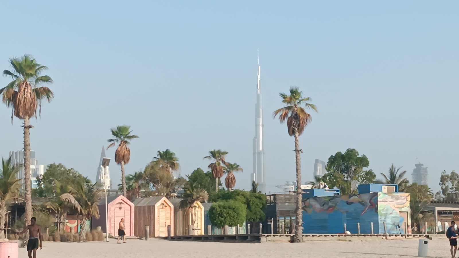 Dubai skyline framed by palm trees