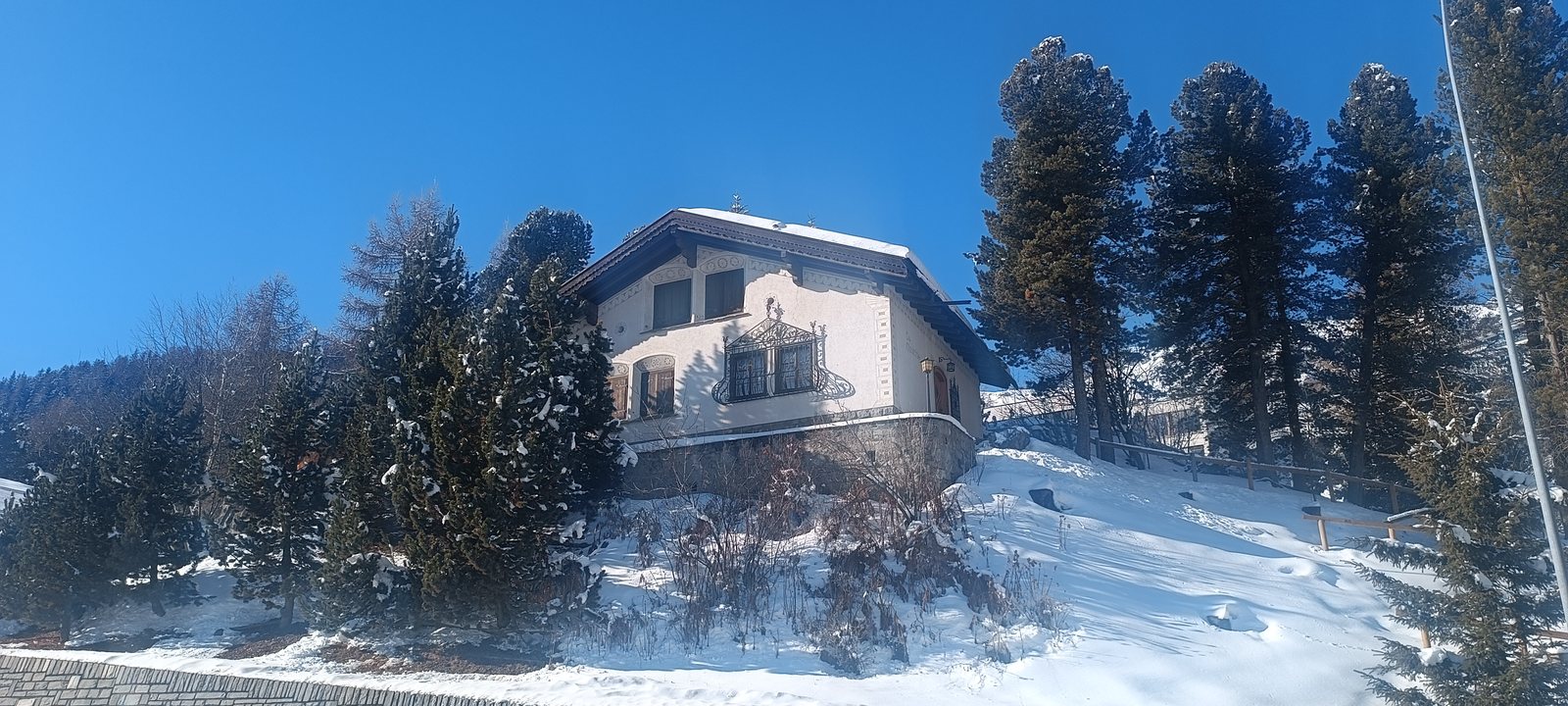 Traditional Engadina chalet among pine trees